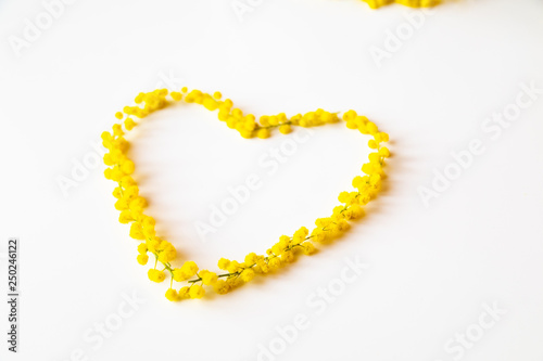 Featured image of post Sfondi Fiori Gialli Sfondi Mimosa