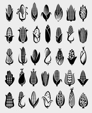 Corn Set. Collection Icon Corn. Vector