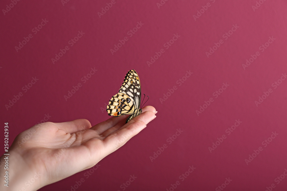 Beautiful butterfly sitting on female hand against color background