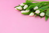 Fototapeta Tulipany - Spring flower arrangement with white tulips on a pink background, copy space