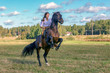Girl astride horse, who costs on hinder legs. Riding lessons