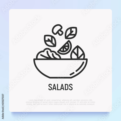 Photographie Salad in bowl thin line icon