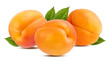 Fresh apricot isolated on white background with clipping path