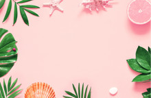 Tropical Background. Palm Trees Branches With Starfish And Seashell On Pink Background. Travel.