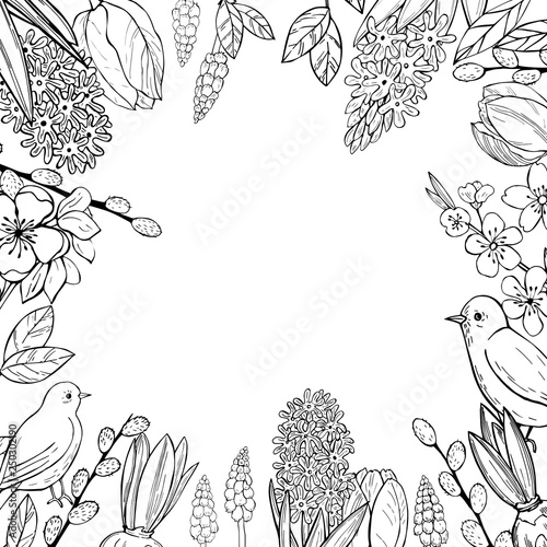 Spring Background With Hand Drawn Birds And Flowersvector