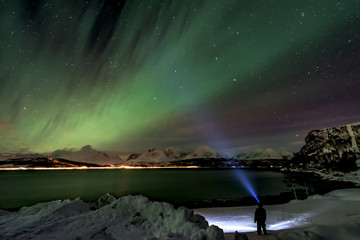 Wall Mural - Amazing aurora borealis - northern lights - view from coast in Oldervik, near Tromso city -  north Norway