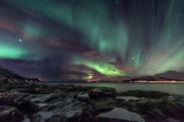 Wall Mural - Amazing aurora borealis - northern lights - view from coast in Oldervik, near Tromso city -  north Norway