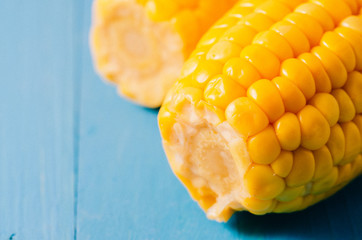 two ears of boiled appetizing corn on a blue background/Close up. Two ears of boiled appetizing corn on a blue background. Healthy food