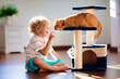 © famveldman - Child playing with cat at home. Kids and pets.