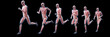 © Sebastian Kaulitzki - 3d rendered illustration of a running mans muscles
