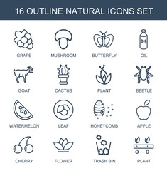 Sticker - natural icons