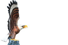 Eagle Statue Isolated On White Background.This Has Clipping Path