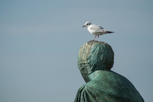 Portrait Of Seagull Standing On Bronze Statue In Basel - Switzerland