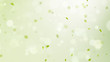 spring background, spring background illustration with green leaves, bokeh, petals and birds