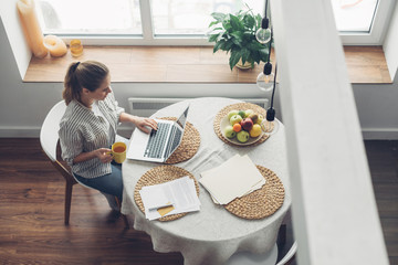 Wall Mural - Young female having freelance work on laptop