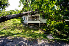 Falling Tree After Hard Storm On Damage House
