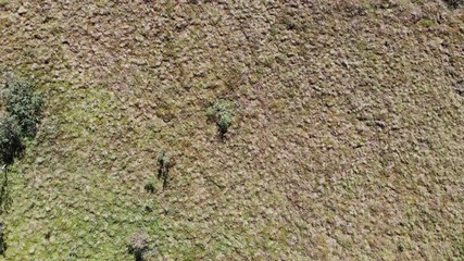 Wall Mural - View from above. Summer landscape area with swamp, marsh, bog, uncultivated ground on Gimsoya island Lofoten archipelago Norway