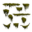Green swamp moss on white background. Forest grass in cartoon style. Isolated design element. Game sprite. Marsh plants