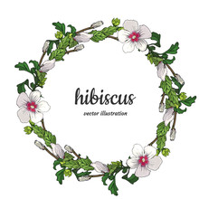 Tropical Floral Wreath With White-pink Hand Drawn Hibiscus Flowers, Buds And Leaves Isolated On White Background.  Illustration. Botanical Exotic Design Template. Border Frame