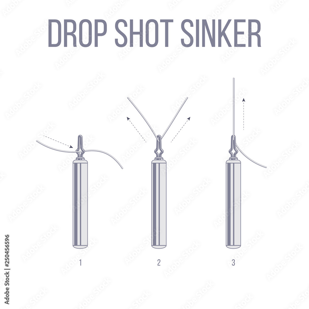 Drop shot rig stick sinker setup for catching predatory fish with ...