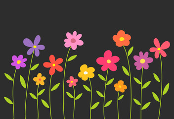Wall Mural - colorful spring flowers on black background.