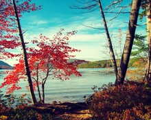 The Edge Of Eagle Lake In Acadia National Park Framed By Fall Or Autumn Trees In Maine USA
