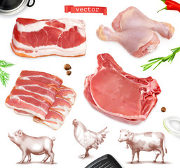 Sticker - Meat food. Beef, pork, chicken legs. 3d vector realistic set