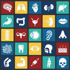 Leinwandbilder - Human organs set on color squares background for graphic and web design, Modern simple vector sign. Internet concept. Trendy symbol for website design web button or mobile app