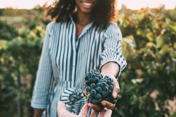 Wall Mural - Hands sharing a bunch of grapes with a happy blurred woman