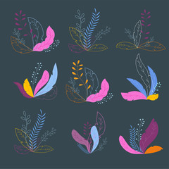  Collection of bush of Exotic tropical plants isolated on dark background.