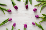 Fototapeta Tulipany - Frame of purple tulips on white wooden background, top view. Flat lay, overhead, from above. Copy space.