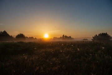 colorful sunrise sunset in misty summer meadow