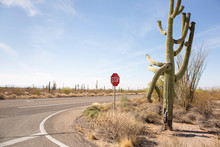 Stop Sign On Road Against Sky At Organ Pipe Cactus National Monument During Sunny Day