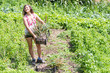 © Andriy Blokhin - Young woman girl farmer harvesting garlic bulb in farm or garden holding basket with bunch of vegetables happy smiling