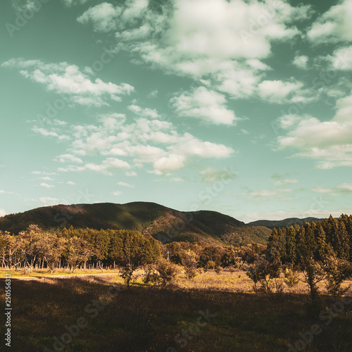 山が見える自然風景 インスタグラム風 Stock Photo Adobe Stock 山が見える自然風景 インスタグラム風 Stock Photo Adobe Stock