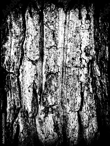 Abstract Dirty Dark Grunge Background Monochrome Texture Effect The Black And White Tones Black And White Tree Bark Buy This Stock Photo And Explore Similar Images At Adobe Stock Adobe Stock