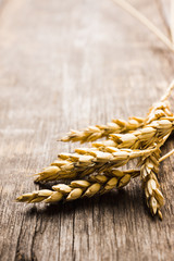 Ripe ears of wheat on the rustic wooden background. Selective focus.