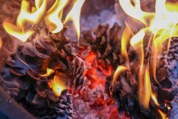 Burning pinecone fire in a safe firepit in a camping area in southern california, usa