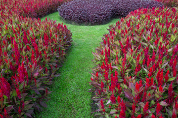 Wall Mural - Colorful vertical gardens in the park.