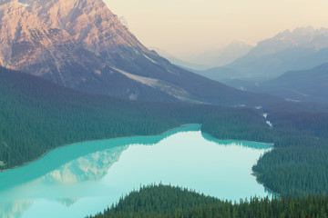 Wall Mural - Peyto lake