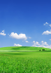 Wall Mural - idyllic view, green hills and blue sky with white clouds