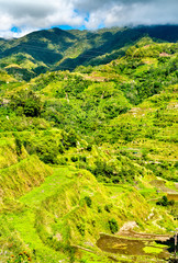 Canvas Print - Banaue Rice Terraces - northern Luzon, UNESCO world heritage in Philippines.