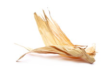 Dry, Wilted Corn, Maize Leaves Isolated On White Background