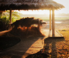 Wall Mural - glowing hay at sunset