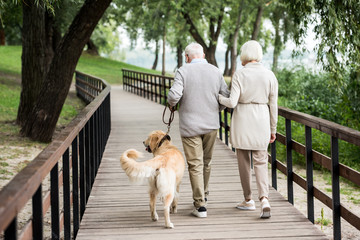 senior couple walking with cute dog iacross wooden bridge in park