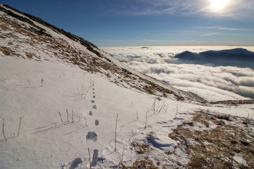 footsteps in snow, early morning