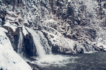 Wall Mural - winter spring fed creek waterfalls in the winter