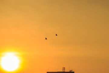 Wall Mural - Orange sunset sky over building background. Yellow sky background during sunset.
