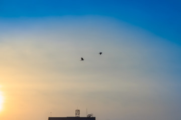Wall Mural - Orange sunset sky over building background. Yellow sky background during sunset.
