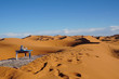 Teetime in der Sahara: Marrokanischer, süsser Pfefferminztee wird auf der Sanddüne serviert